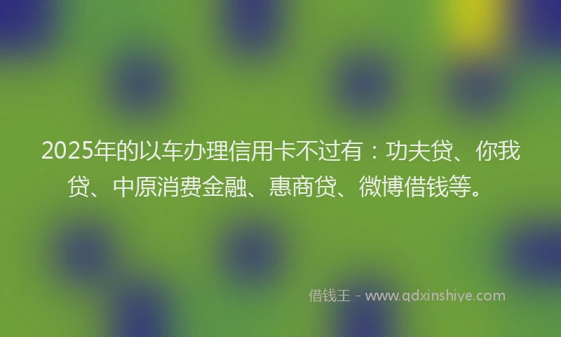 2025年的以车办理信用卡不过有：功夫贷、你我贷、中原消费金融、惠商贷、微博借钱等。