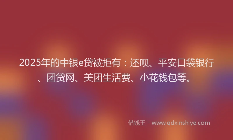 2025年的中银e贷被拒有：还呗、平安口袋银行、团贷网、美团生活费、小花钱包等。