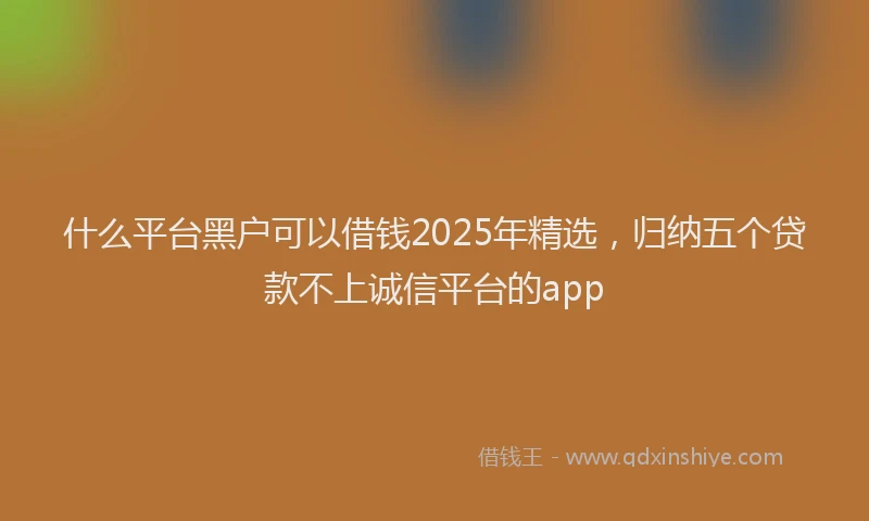 什么平台黑户可以借钱2025年精选，归纳五个贷款不上诚信平台的app