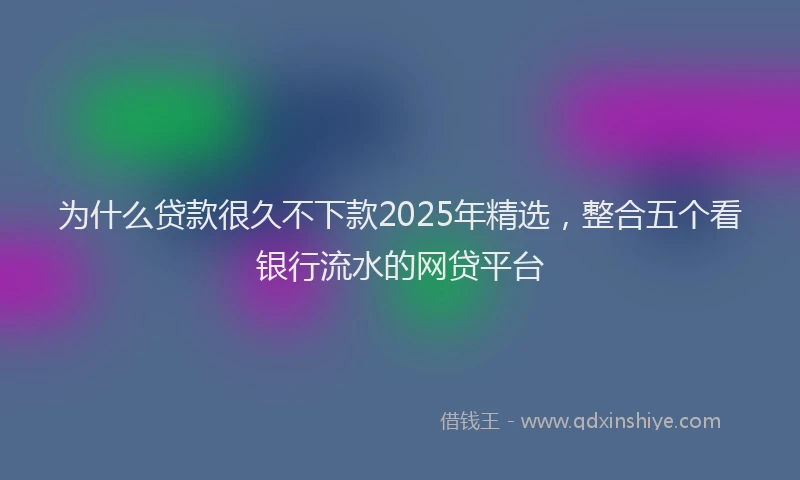为什么贷款很久不下款2025年精选，整合五个看银行流水的网贷平台