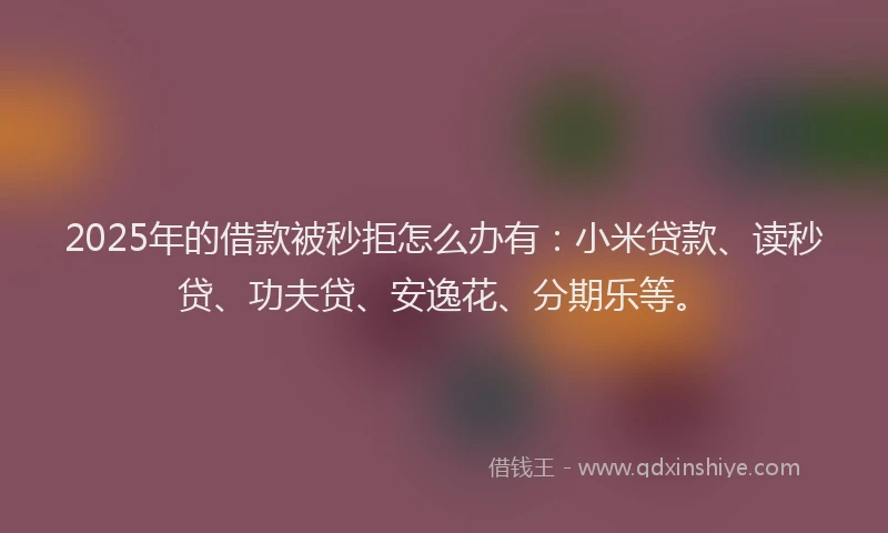 2025年的借款被秒拒怎么办有：小米贷款、读秒贷、功夫贷、安逸花、分期乐等。