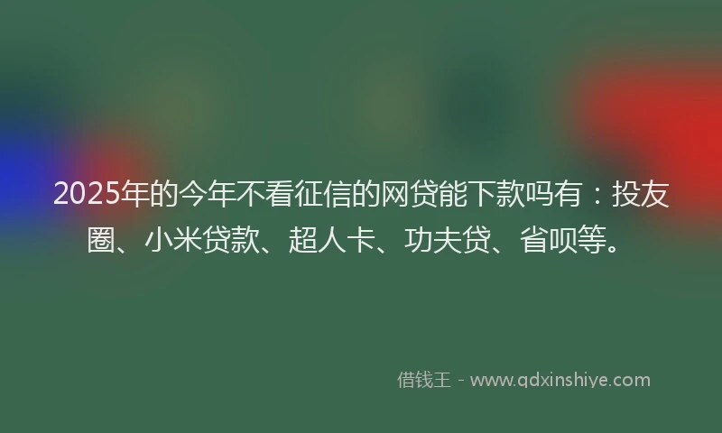 2025年的今年不看征信的网贷能下款吗有：投友圈、小米贷款、超人卡、功夫贷、省呗等。