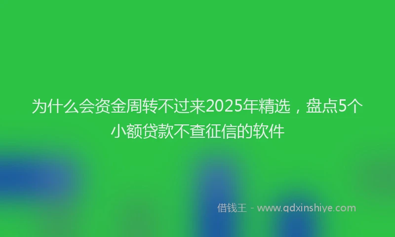为什么会资金周转不过来2025年精选，盘点5个小额贷款不查征信的软件