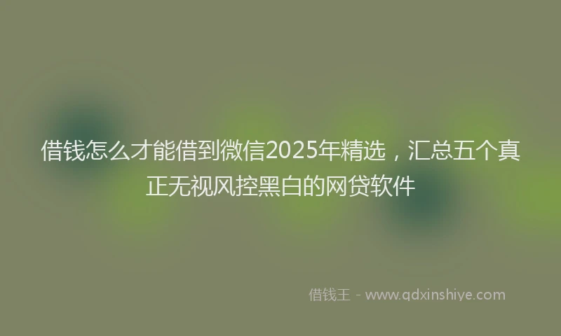 借钱怎么才能借到微信2025年精选，汇总五个真正无视风控黑白的网贷软件