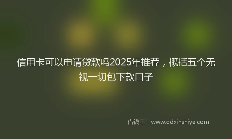 信用卡可以申请贷款吗2025年推荐，概括五个无视一切包下款口子