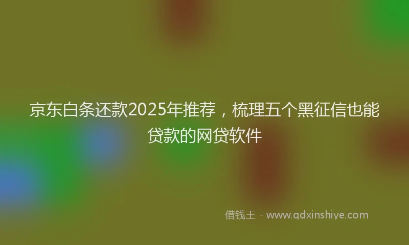 京东白条还款2025年推荐，梳理五个黑征信也能贷款的网贷软件