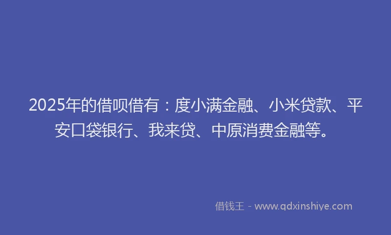 2025年的借呗借有：度小满金融、小米贷款、平安口袋银行、我来贷、中原消费金融等。