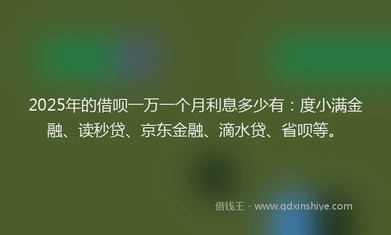 2025年的借呗一万一个月利息多少有：度小满金融、读秒贷、京东金融、滴水贷、省呗等。