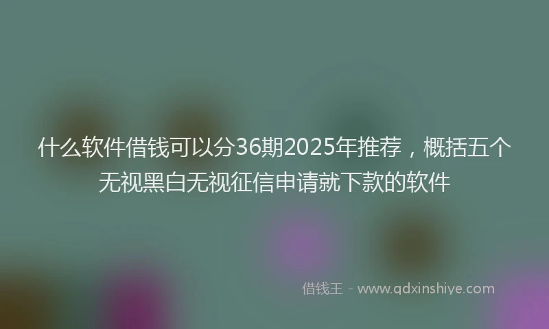 什么软件借钱可以分36期2025年推荐，概括五个无视黑白无视征信申请就下款的软件