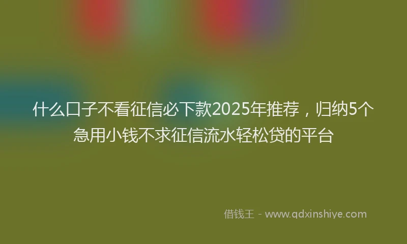 什么口子不看征信必下款2025年推荐，归纳5个急用小钱不求征信流水轻松贷的平台