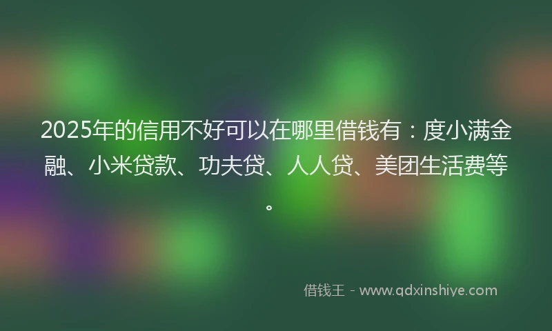 2025年的信用不好可以在哪里借钱有：度小满金融、小米贷款、功夫贷、人人贷、美团生活费等。