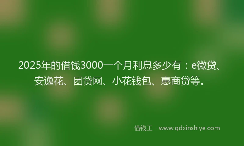 2025年的借钱3000一个月利息多少有：e微贷、安逸花、团贷网、小花钱包、惠商贷等。