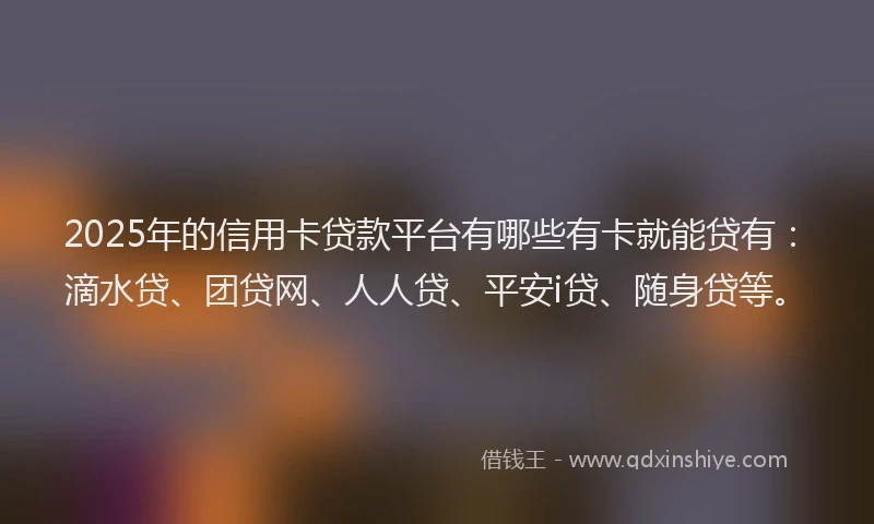 2025年的信用卡贷款平台有哪些有卡就能贷有：滴水贷、团贷网、人人贷、平安i贷、随身贷等。
