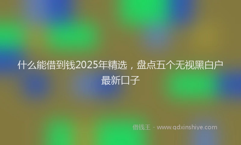 什么能借到钱2025年精选，盘点五个无视黑白户最新口子