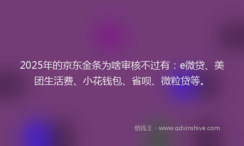 2025年的京东金条为啥审核不过有：e微贷、美团生活费、小花钱包、省呗、微粒贷等。