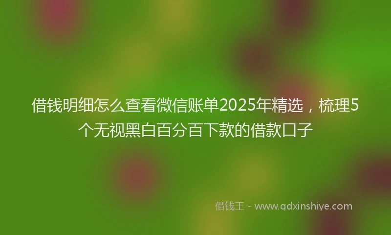 借钱明细怎么查看微信账单2025年精选，梳理5个无视黑白百分百下款的借款口子