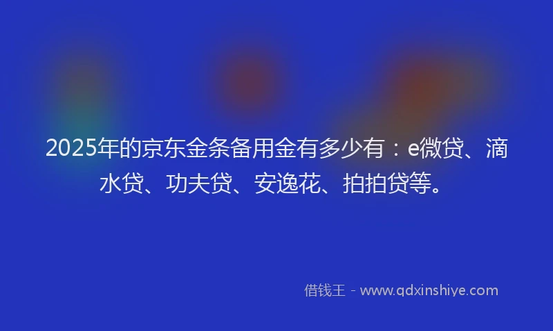 2025年的京东金条备用金有多少有：e微贷、滴水贷、功夫贷、安逸花、拍拍贷等。