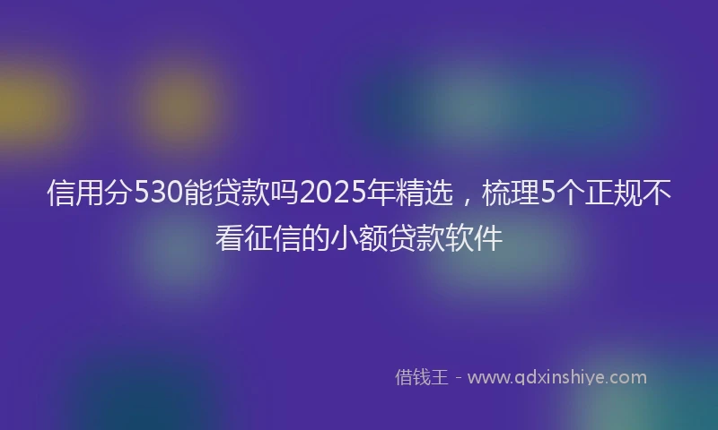 信用分530能贷款吗2025年精选，梳理5个正规不看征信的小额贷款软件