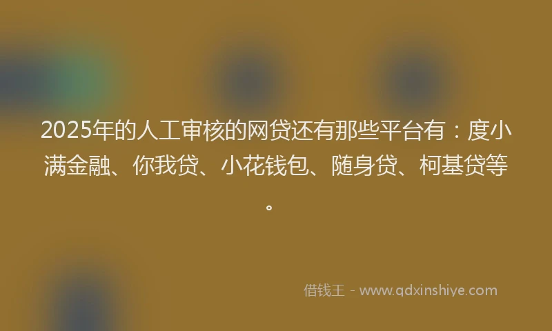 2025年的人工审核的网贷还有那些平台有：度小满金融、你我贷、小花钱包、随身贷、柯基贷等。