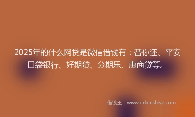2025年的什么网贷是微信借钱有：替你还、平安口袋银行、好期贷、分期乐、惠商贷等。