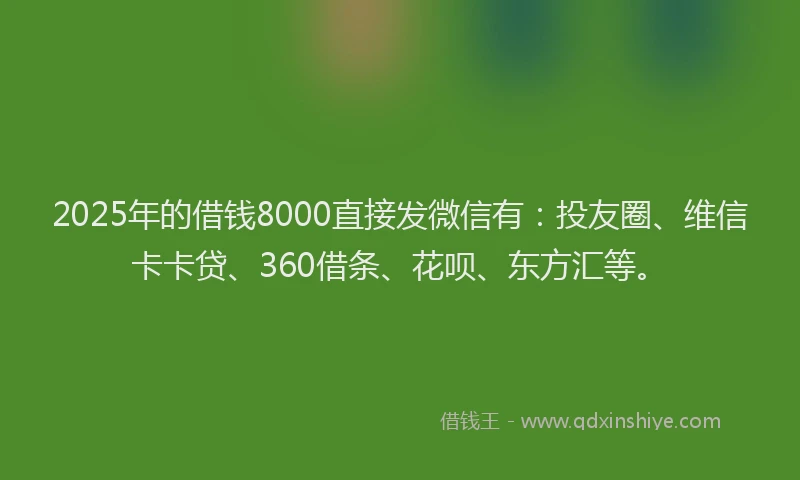 2025年的借钱8000直接发微信有：投友圈、维信卡卡贷、360借条、花呗、东方汇等。