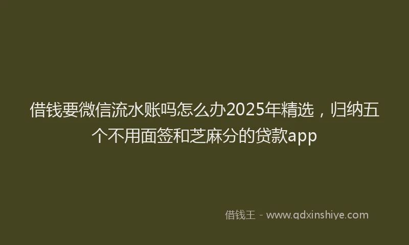 借钱要微信流水账吗怎么办2025年精选，归纳五个不用面签和芝麻分的贷款app