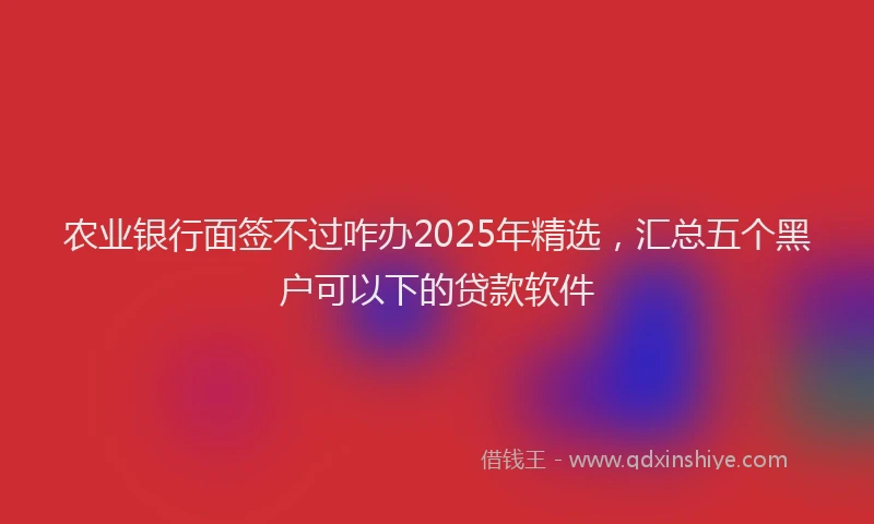 农业银行面签不过咋办2025年精选，汇总五个黑户可以下的贷款软件