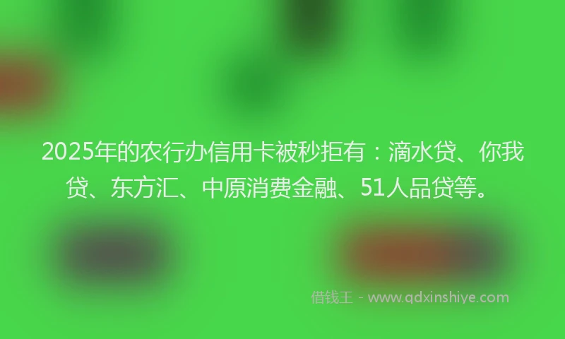 2025年的农行办信用卡被秒拒有：滴水贷、你我贷、东方汇、中原消费金融、51人品贷等。