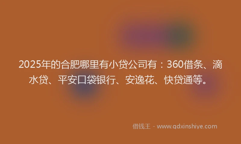2025年的合肥哪里有小贷公司有：360借条、滴水贷、平安口袋银行、安逸花、快贷通等。