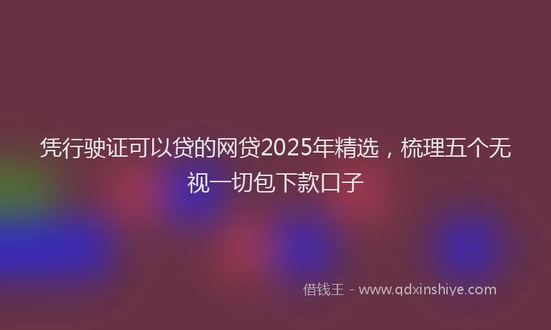 凭行驶证可以贷的网贷2025年精选，梳理五个无视一切包下款口子