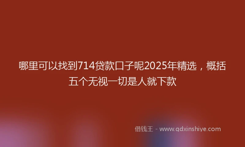 哪里可以找到714贷款口子呢2025年精选，概括五个无视一切是人就下款