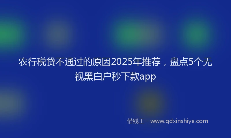农行税贷不通过的原因2025年推荐，盘点5个无视黑白户秒下款app
