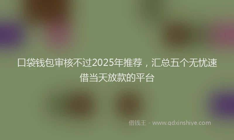 口袋钱包审核不过2025年推荐，汇总五个无忧速借当天放款的平台