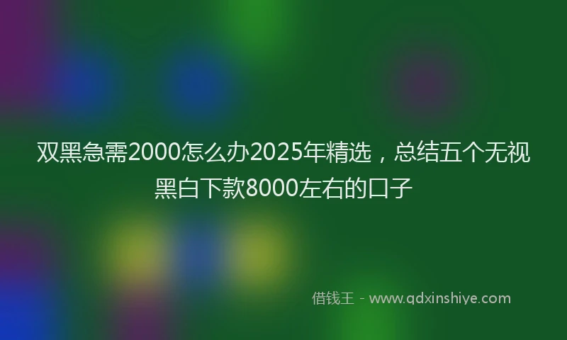 双黑急需2000怎么办2025年精选，总结五个无视黑白下款8000左右的口子