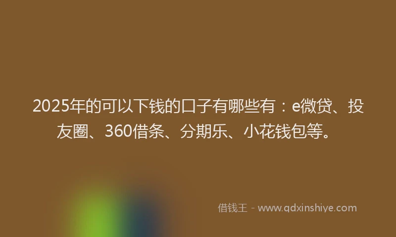 2025年的可以下钱的口子有哪些有：e微贷、投友圈、360借条、分期乐、小花钱包等。