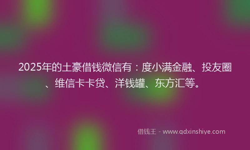 2025年的土豪借钱微信有：度小满金融、投友圈、维信卡卡贷、洋钱罐、东方汇等。