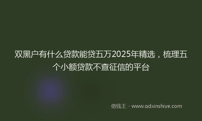 双黑户有什么贷款能贷五万2025年精选，梳理五个小额贷款不查征信的平台