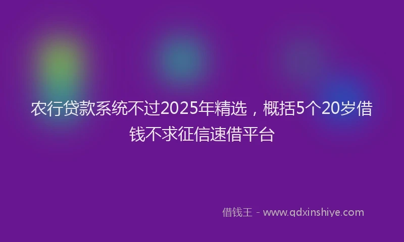 农行贷款系统不过2025年精选，概括5个20岁借钱不求征信速借平台