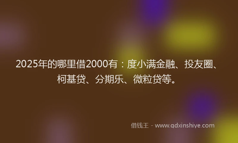 2025年的哪里借2000有：度小满金融、投友圈、柯基贷、分期乐、微粒贷等。