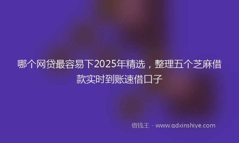 哪个网贷最容易下2025年精选，整理五个芝麻借款实时到账速借口子