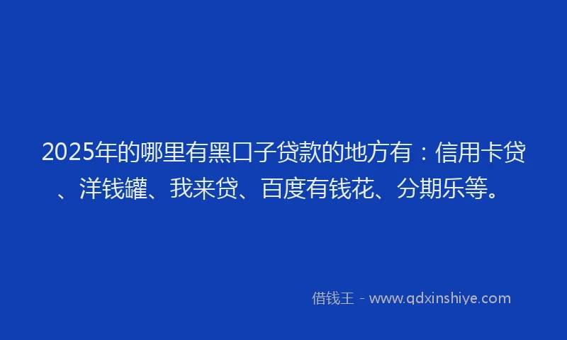 2025年的哪里有黑口子贷款的地方有：信用卡贷、洋钱罐、我来贷、百度有钱花、分期乐等。