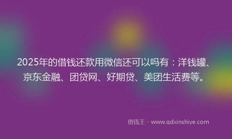 2025年的借钱还款用微信还可以吗有：洋钱罐、京东金融、团贷网、好期贷、美团生活费等。