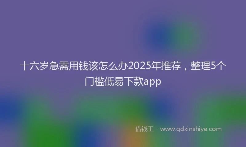 十六岁急需用钱该怎么办2025年推荐，整理5个门槛低易下款app