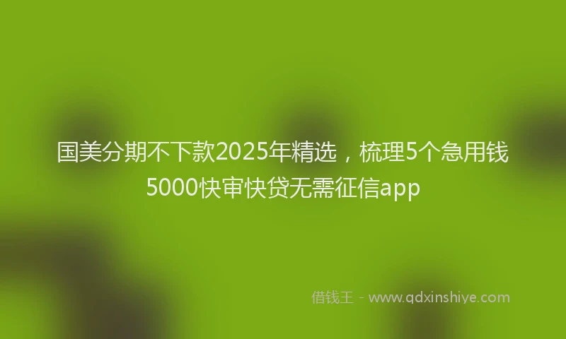 国美分期不下款2025年精选，梳理5个急用钱5000快审快贷无需征信app