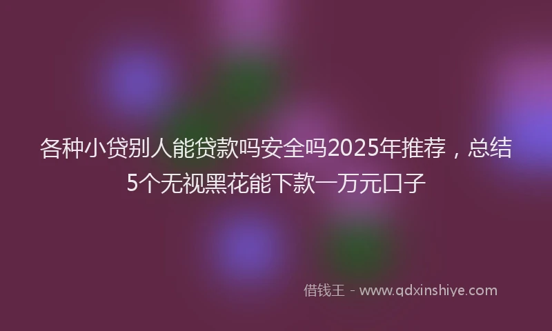 各种小贷别人能贷款吗安全吗2025年推荐，总结5个无视黑花能下款一万元口子