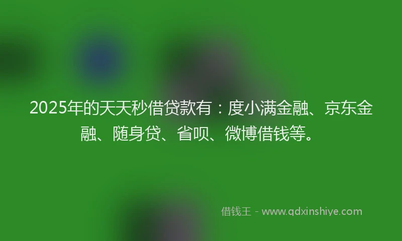 2025年的天天秒借贷款有：度小满金融、京东金融、随身贷、省呗、微博借钱等。