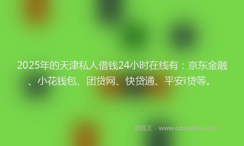 2025年的天津私人借钱24小时在线有：京东金融、小花钱包、团贷网、快贷通、平安i贷等。
