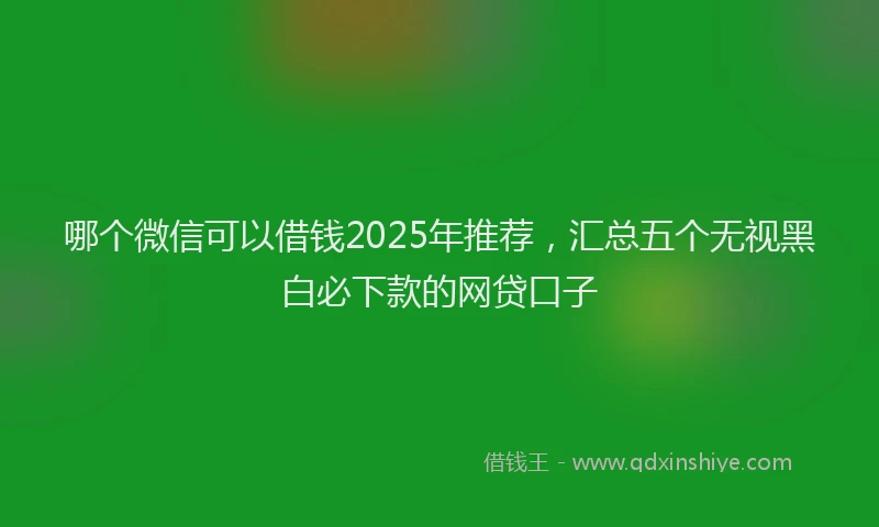 哪个微信可以借钱2025年推荐，汇总五个无视黑白必下款的网贷口子