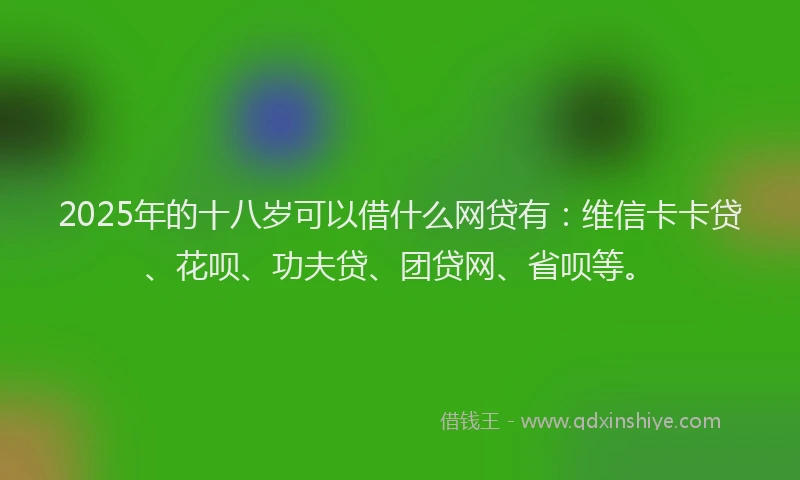 2025年的十八岁可以借什么网贷有：维信卡卡贷、花呗、功夫贷、团贷网、省呗等。