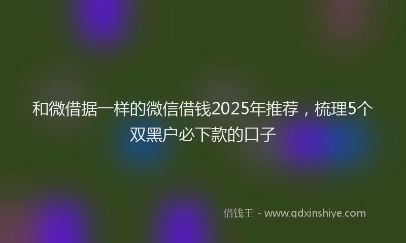 和微借据一样的微信借钱2025年推荐，梳理5个双黑户必下款的口子